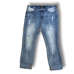 Indigo Rein Jeans Lightwash Distressed